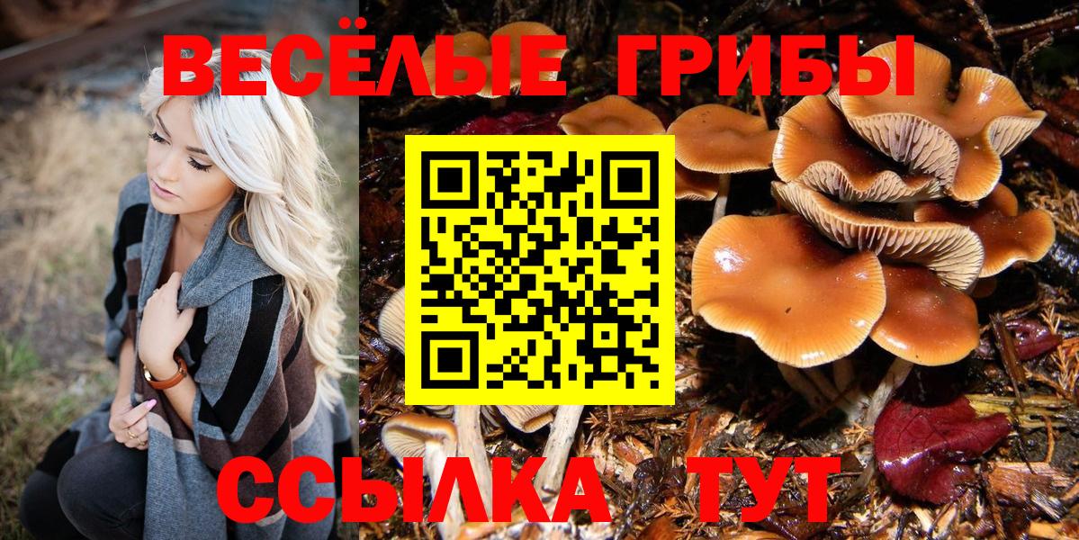 Димитровград  Псилоцибиновые грибы ЛСД  Вход с VPN 